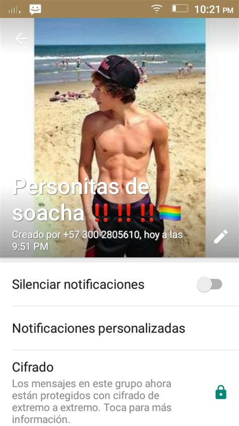 Grupo de WhatsApp Gay de Tenerife